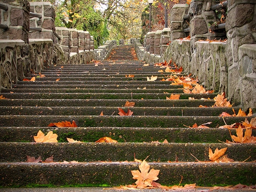 steps-to-the-financial-stability-plan-1