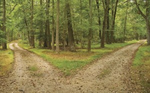 Solo 401k vs. SEP IRA