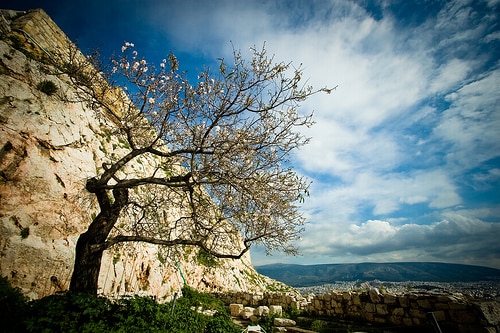 spring-back-weaker-stocks-for-summer photo by Éole