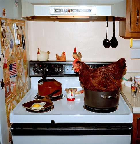 Post image for Client Letter: Chicken or the Egg?