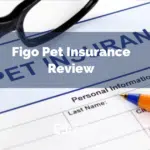 Figo Pet Insurance Review