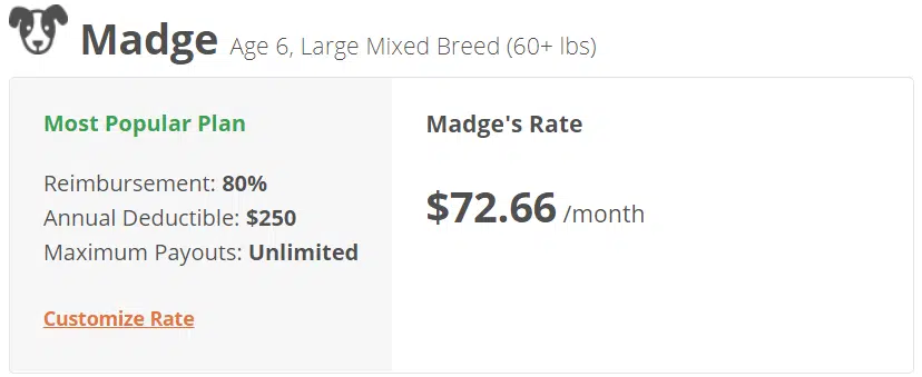 Madge Healthy Paws rates