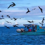 fishermen protected by high risk occupation life insurance