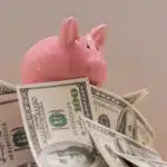piggy bank with dollar bills around it.