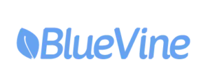 bluevine small business loans