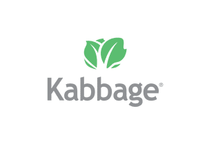 kabbage small business loans logo