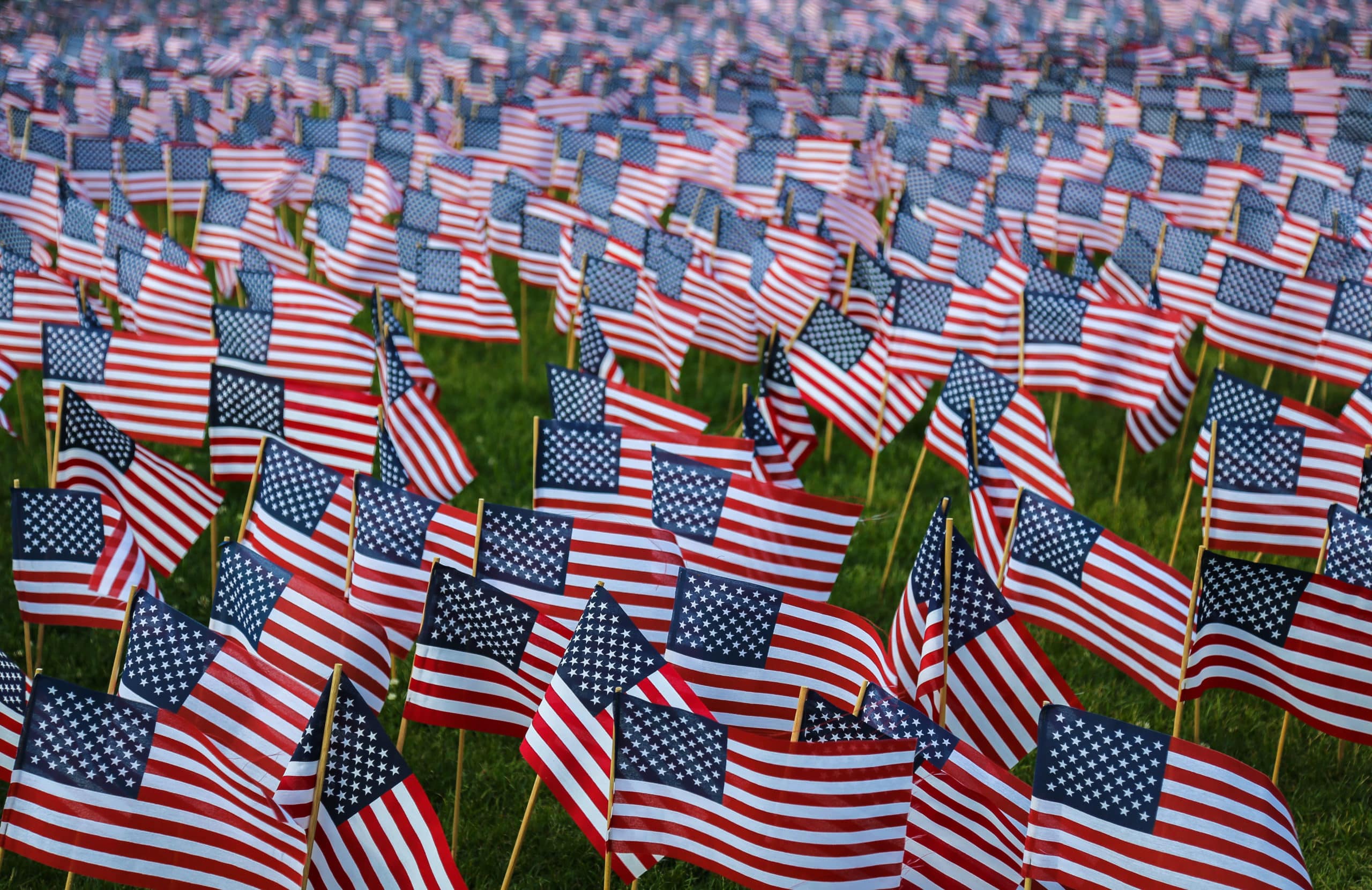 veterans day small americans flag covering a lawn