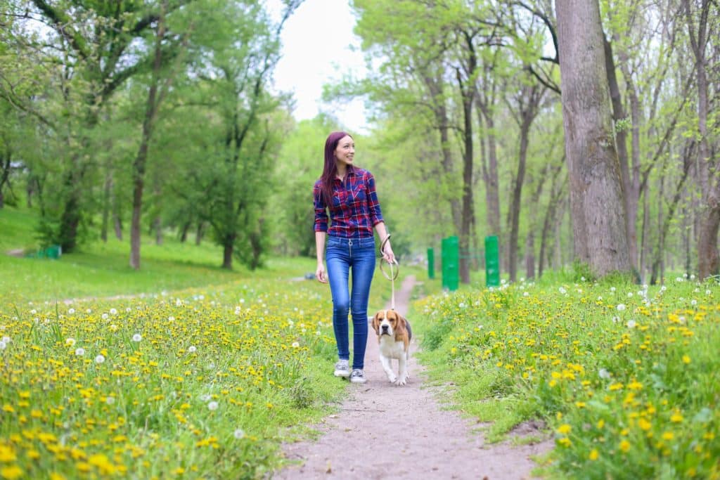 young girl walking a dog