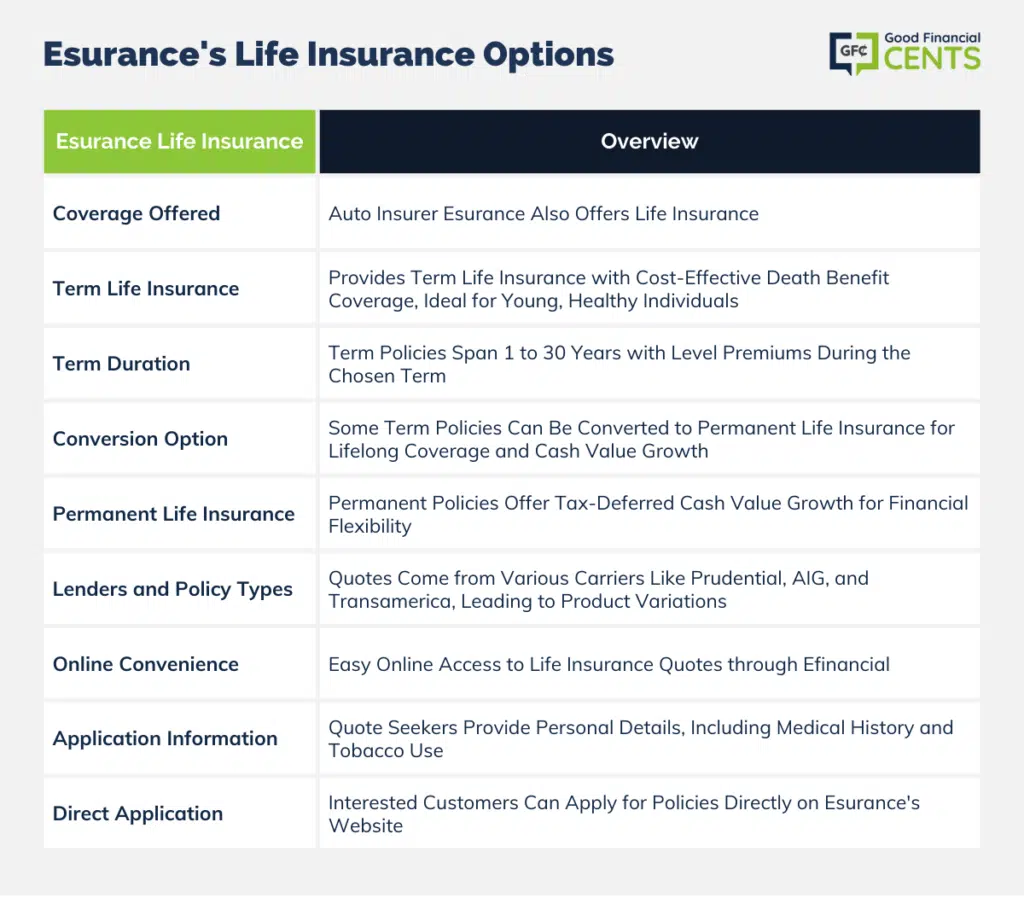 Esurance's Life Insurance Options